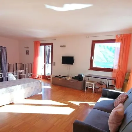 Ulivi On The * Dongo