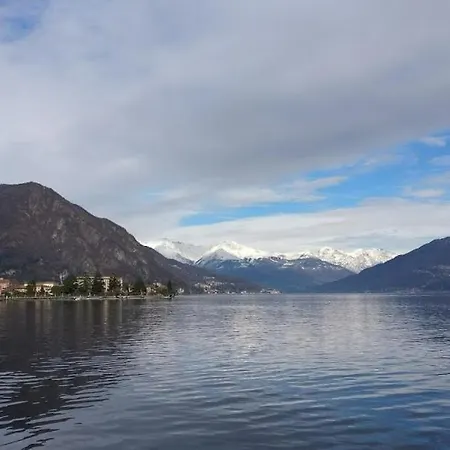 Ulivi On The Apartment