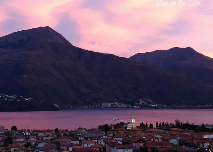 Ulivi On The * Dongo