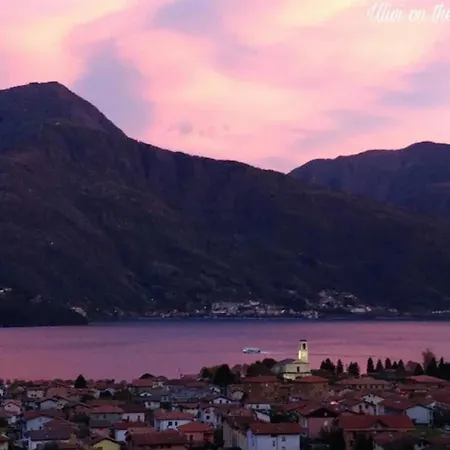 Ulivi On The * Донго