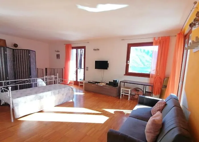 Ulivi On The * Dongo